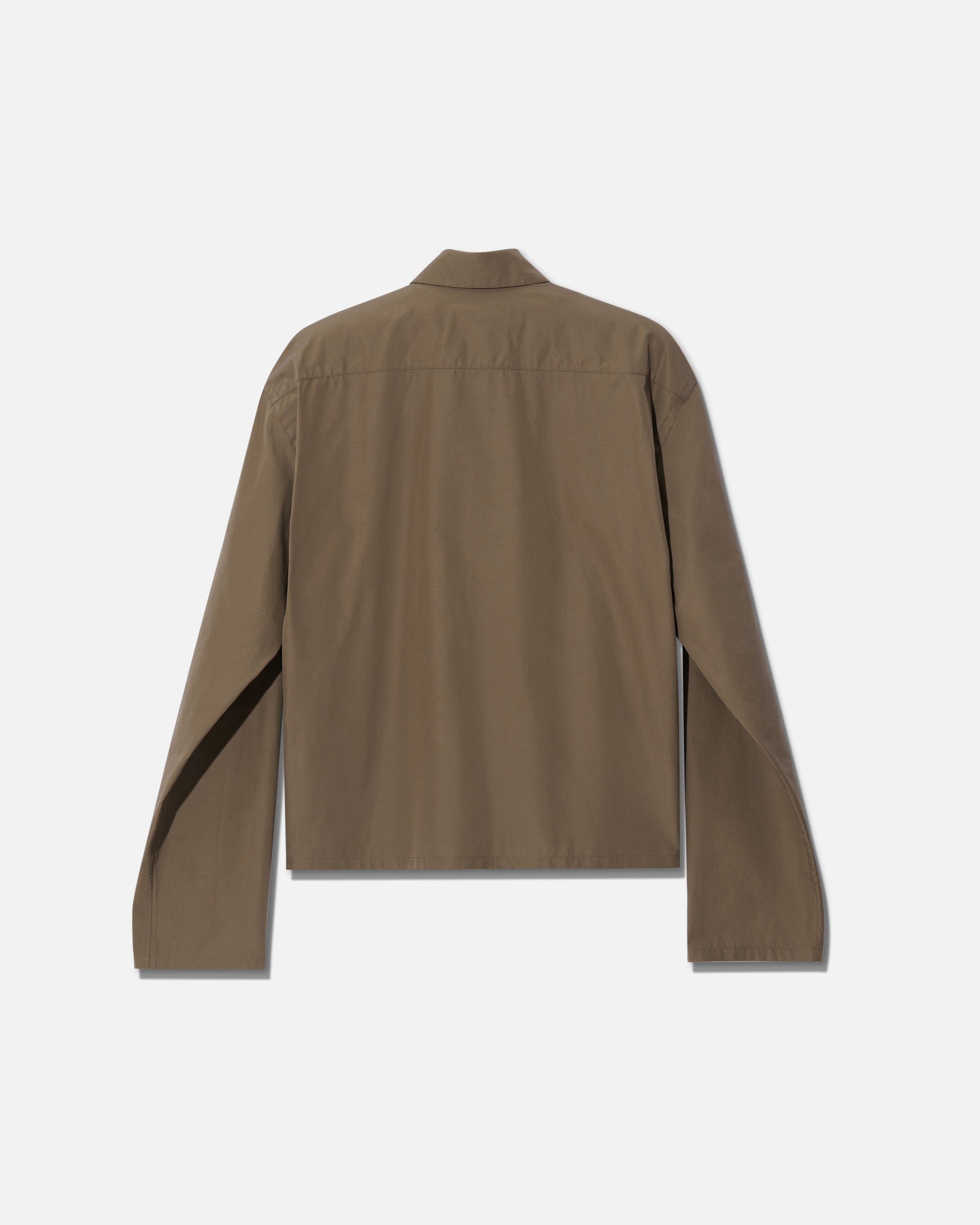 Shirt popeline cotton castoro