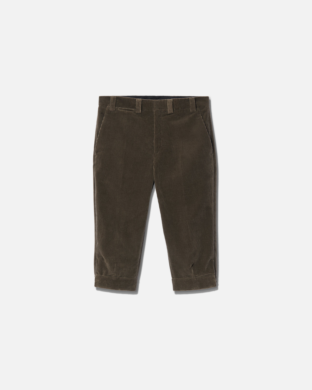 Knickerbocker corduroy castoro