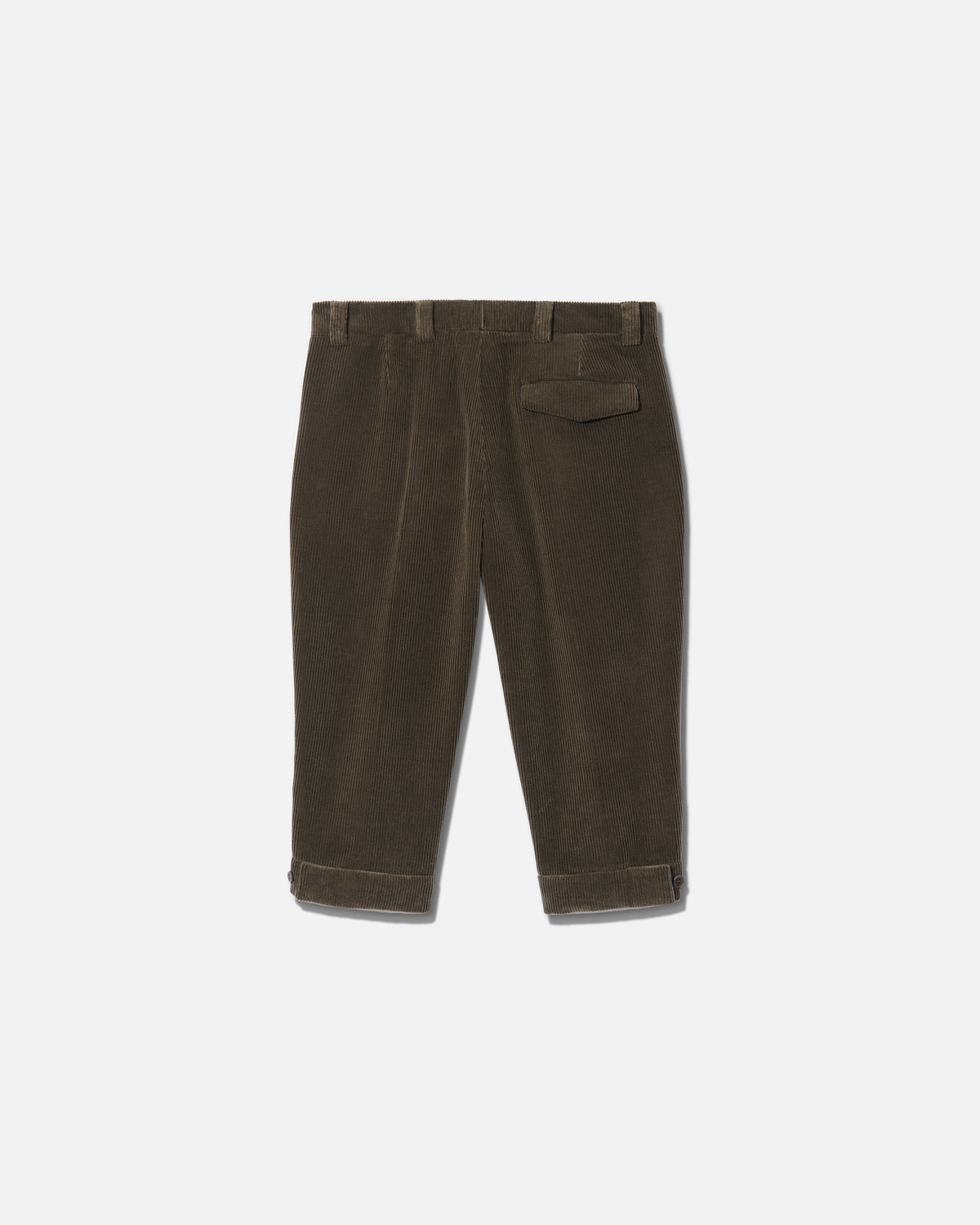 Knickerbocker corduroy castoro